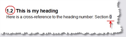 Word Cross-reference problems - Cross-reference refers to section no. 0