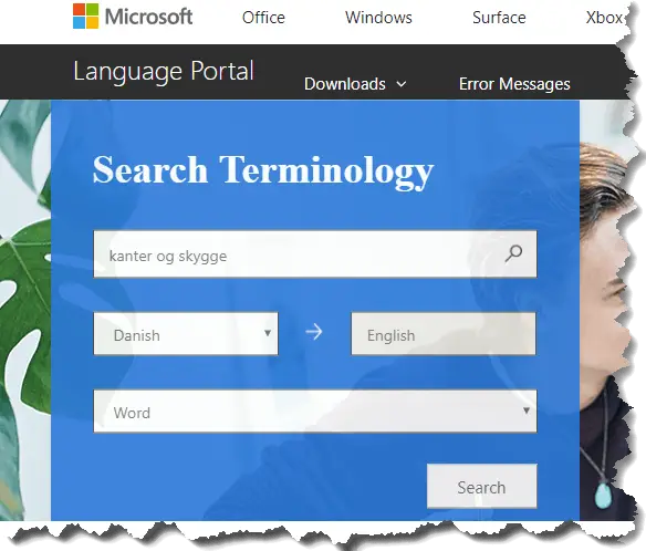 Microsoft Language Portal med udfyldte felter