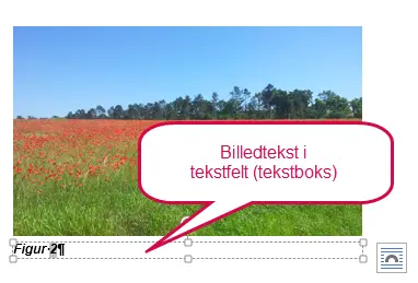 Billedtekster 
i Word - Hvis billedet er i Words tegnelag, bliver billedteksten indsat i et tekstfelt med samme ombrydning som billede