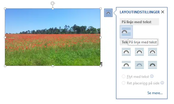 Billede indsat med ombrydning På linje med tekst