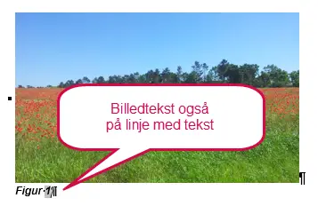 Billedtekster 
i Word - Billedtekst indsættes også På linje med tekst, når billedet er På linje med tekst.