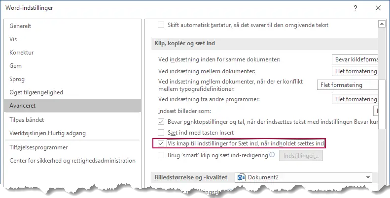 Indstillinger for Sæt ind i Word til Microsoft 365. Ordlyden kan være lidt anderledes i tidligere versioner